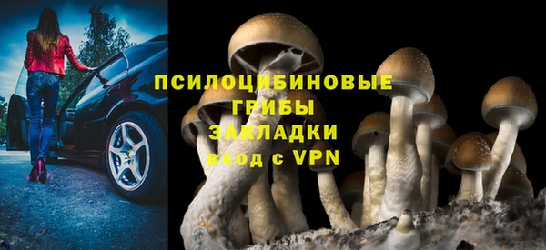 гидра Алзамай
