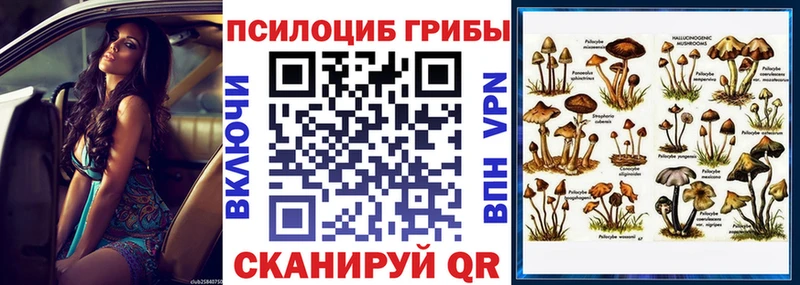 Галлюциногенные грибы Cubensis  как найти закладки  площадка клад  Шатура 