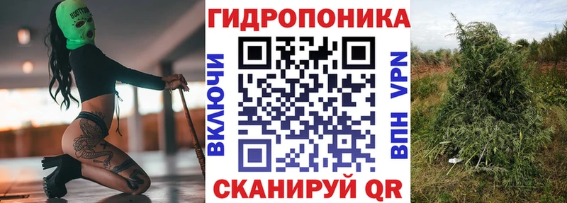 Бошки Шишки VHQ  купить наркоту  Шатура 